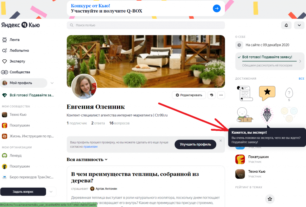 Пример награды-подсказки для получения статуса эксперта на сервисе Яндекс.Кью